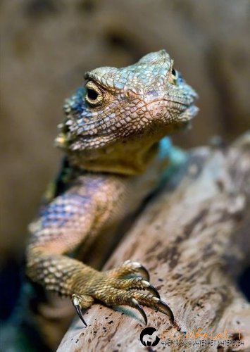 Топ снимките за днес 14.04