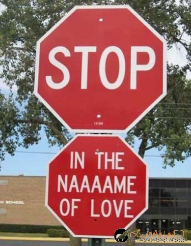 Топ снимките за днес 14.04