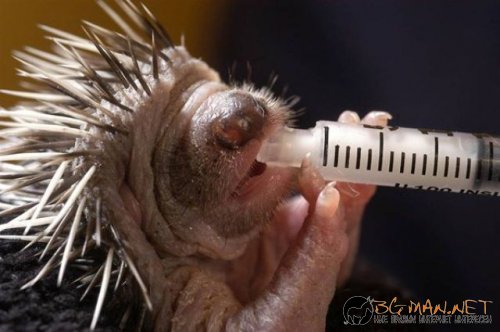 Топ снимките за днес 14.04