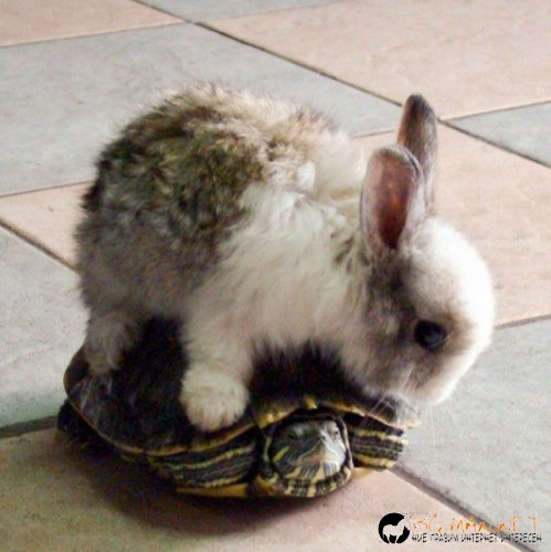 Топ снимките за днес 14.04