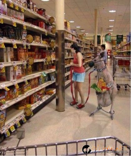 Топ снимките за днес 14.04