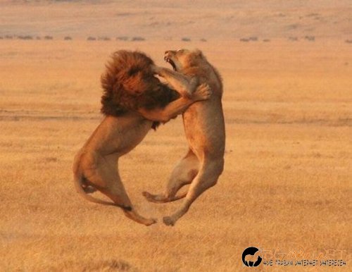 Топ снимките за днес 14.04