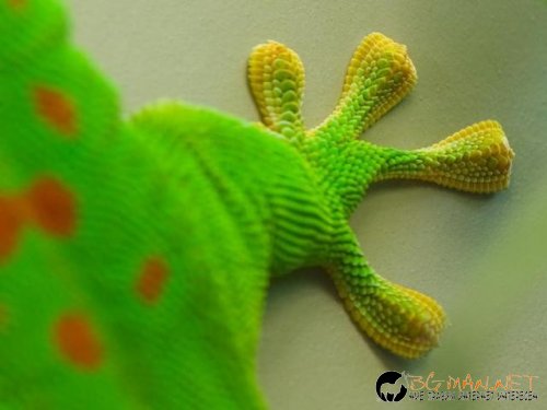 Топ снимките за днес 14.04