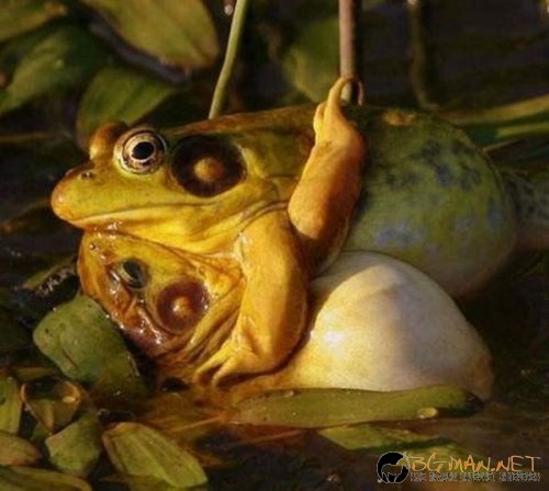 Топ снимките за днес 14.04