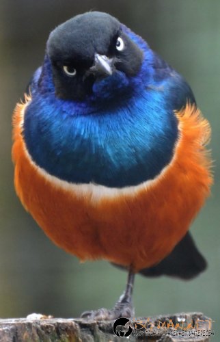 Топ снимките за днес 14.04