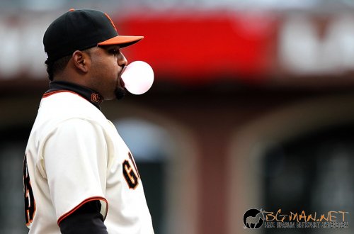 Топ снимките за днес 14.04