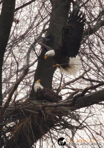 Топ снимките за днес 14.04
