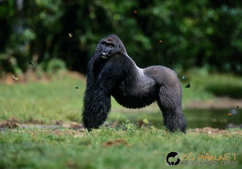 Топ снимките за днес 14.04