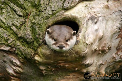 Фотоподборката за тази неделя