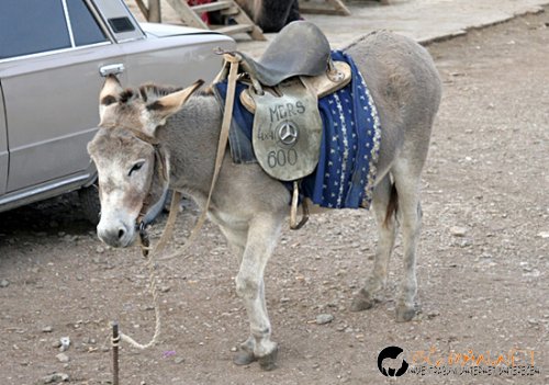 Фотоподборката за тази неделя