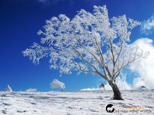 Фотоподборката за тази неделя