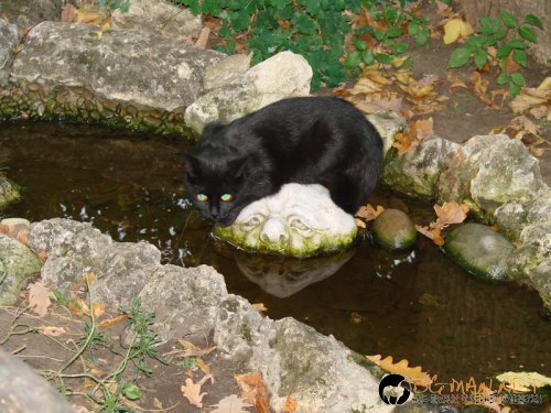 Фотоподборката за тази неделя