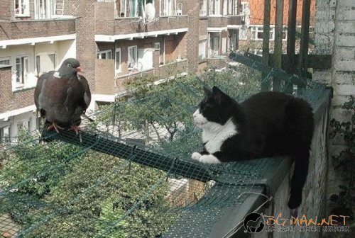 Фотоподборката за тази неделя