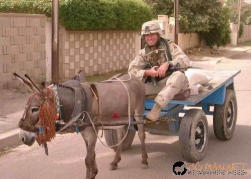 Фотоподборката за тази неделя