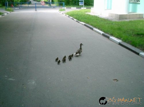 Фотоподборката за тази неделя