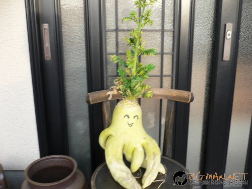 Фотоподборката за тази неделя