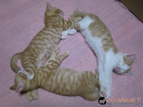 Фотоподборката за тази неделя