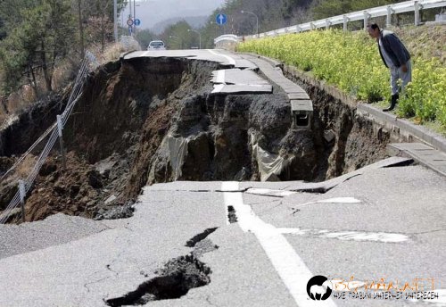 Фотоподборката за тази неделя