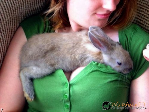 Най-интересни сники за днес - 20.04.2010 г.