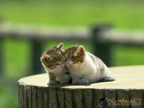 Снимчици за събуждане