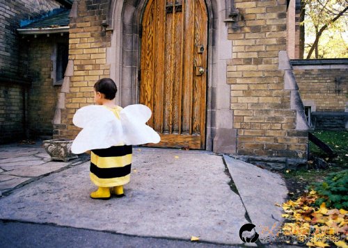 Снимчици за събуждане