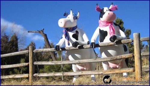 Снимчици за събуждане