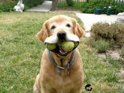 Най-интересни сники за днес - 31.05.2010 г.