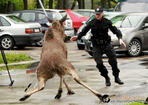 Най-интересни сники за днес - 13.05.2010 г.