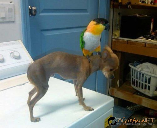 Най-интересни сники за днес - 13.05.2010 г.