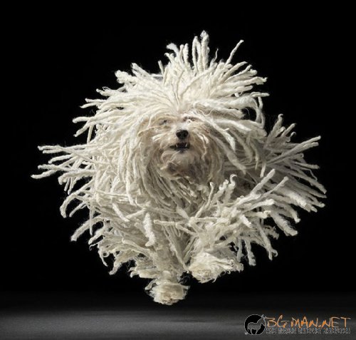 Най-интересни сники за днес - 13.05.2010 г.