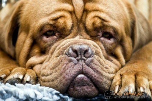 Най-интересни сники за днес - 13.05.2010 г.