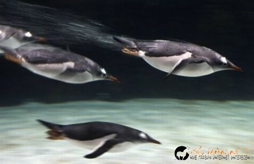 Най-интересни сники за днес - 13.05.2010 г.