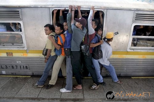 Най-интересни сники за днес - 13.05.2010 г.