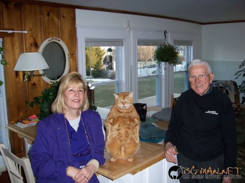 Най-интересни сники за днес - 13.05.2010 г.