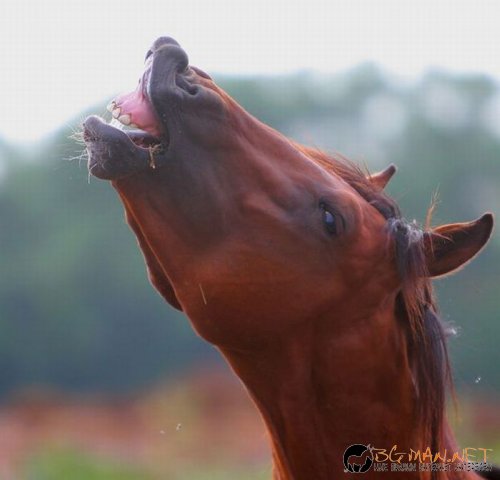 Най-интересни сники за днес - 13.05.2010 г.