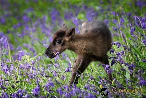 Най-интересни сники за днес - 13.05.2010 г.