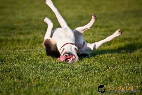 Най-интересни сники за днес - 13.05.2010 г.