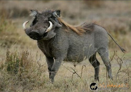 Най-интересни сники за днес - 13.05.2010 г.