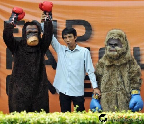 Най-интересни сники за днес - 13.05.2010 г.