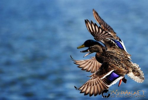 Най-интересни сники за днес - 13.05.2010 г.