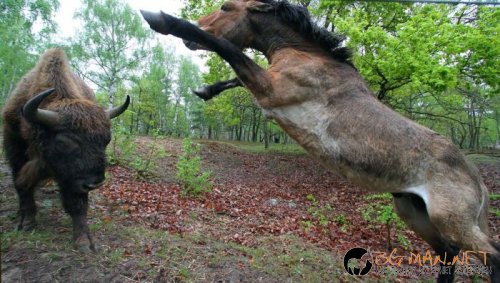 Най-интересни сники за днес - 13.05.2010 г.