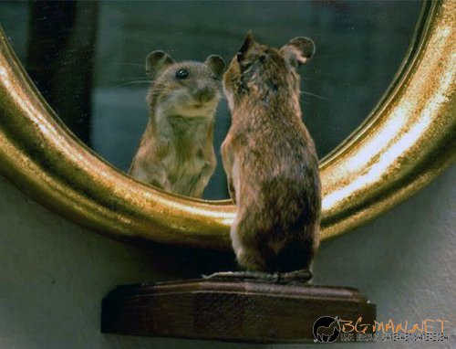 Най-интересни сники за днес - 13.05.2010 г.