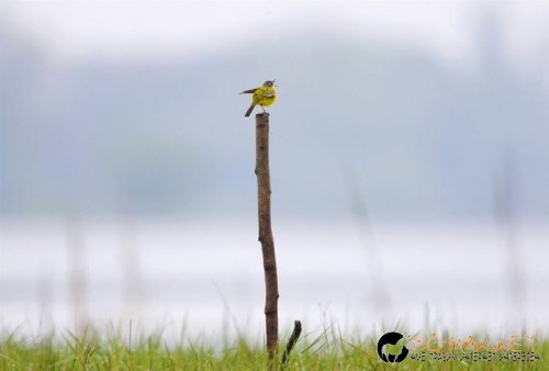 Най-интересни сники за днес - 13.05.2010 г.