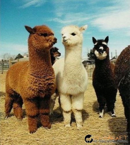 Най-интересни сники за днес - 13.05.2010 г.