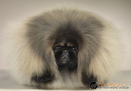 Най-интересни сники за днес - 13.05.2010 г.