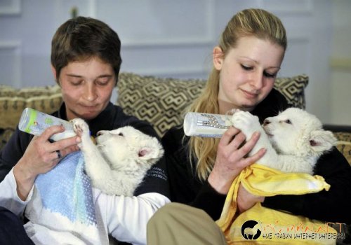 Най-интересни сники за днес - 13.05.2010 г.