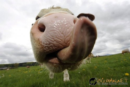 Най-интересни сники за днес - 13.05.2010 г.