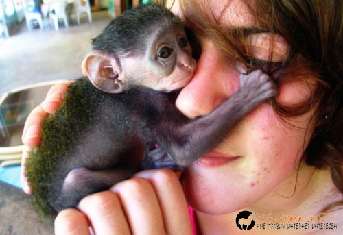 Най-интересни сники за днес - 13.05.2010 г.