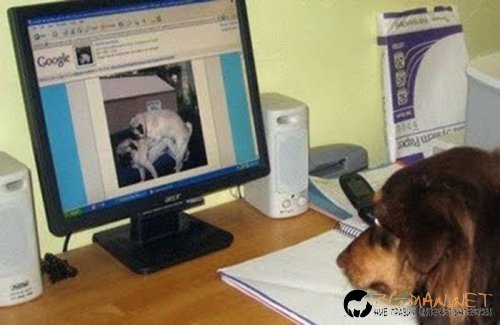 Най-интересни сники за днес - 13.05.2010 г.