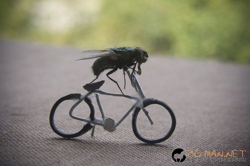 Най-интересни сники за днес - 13.05.2010 г.